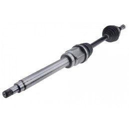 VARANTYSIS VELENAS FORD...